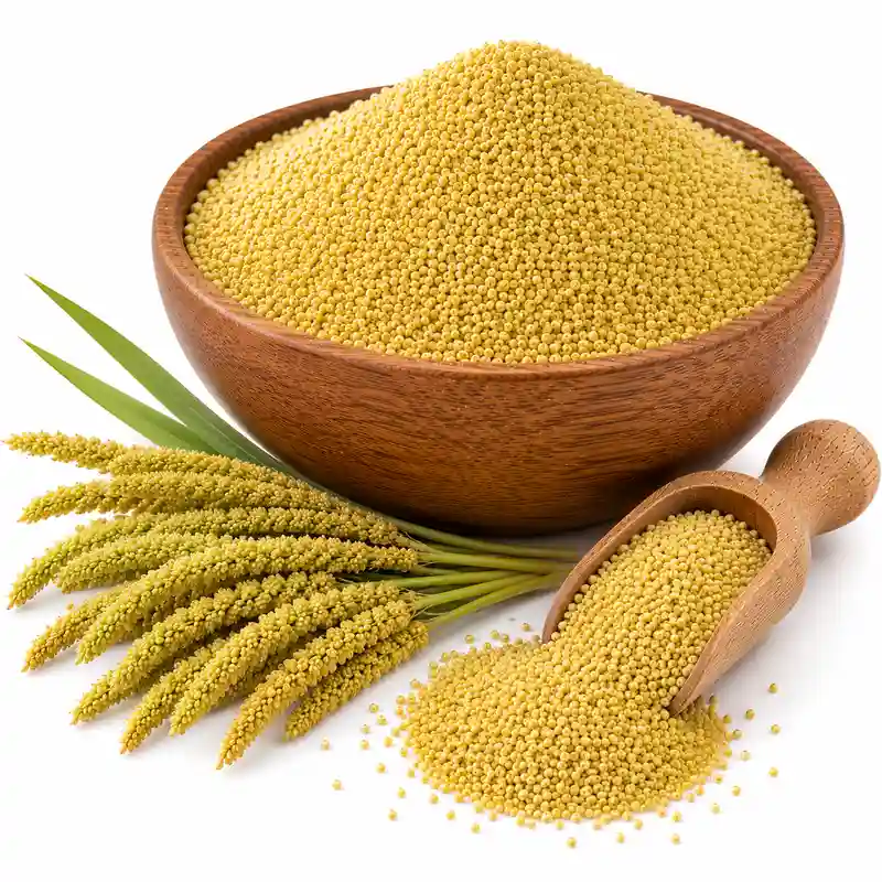 Foxtail Millet  ( Kangni )